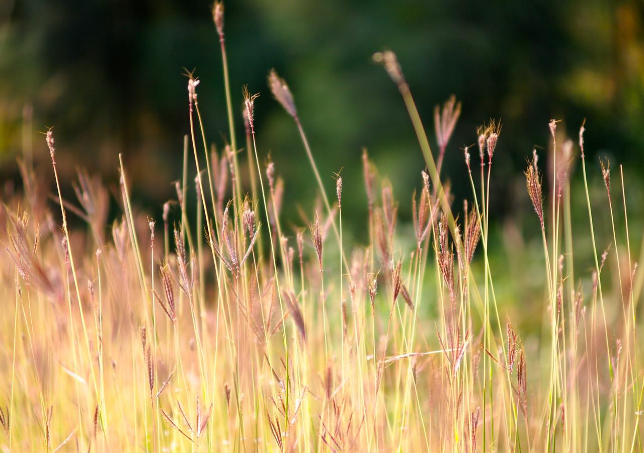 Odio vero unde odit est commodi adipisci